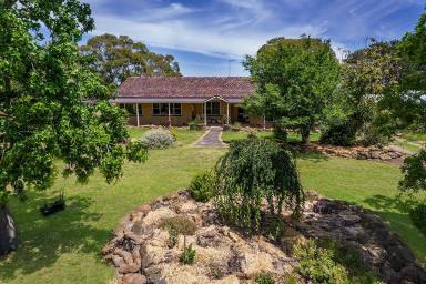 Lifestyle Sold - VIC - Yulecart - 3301 - Country Lifestyle 5 Minutes from Hamilton - 32ac approx.  (Image 2)