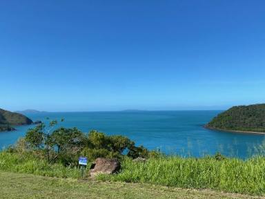 Residential Block For Sale - QLD - Mackay - 4740 - SPECTACULAR BLOCK SACRIFICED 3117sqm  (Image 2)