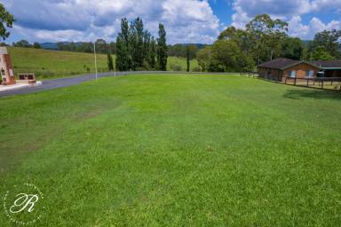 Residential Block For Sale - NSW - Stroud - 2425 - Prime Location! - Vacant Residential Land  (Image 2)