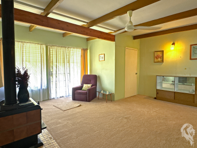 House For Sale - NSW - Pilliga - 2388 - UNBEATABLE VALUE - COMFORT AND CHARM IN PILLIGA  (Image 2)