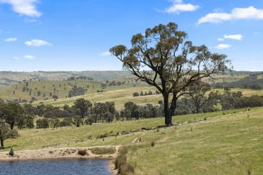 Mixed Farming For Sale - NSW - Crookwell - 2583 - A Picturesque Country Escape  (Image 2)