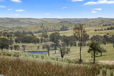 Mixed Farming For Sale - NSW - Crookwell - 2583 - A Picturesque Country Escape  (Image 2)