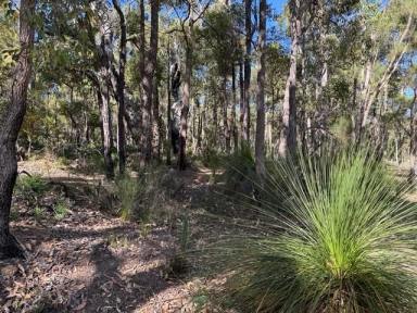 Residential Block For Sale - WA - Sawyers Valley - 6074 - 2 Hectare Untouched Bushland Property in Sawyers Valley  (Image 2)