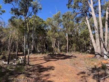 Residential Block For Sale - WA - Sawyers Valley - 6074 - 2 Hectare Untouched Bushland Property in Sawyers Valley  (Image 2)