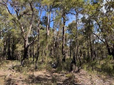 Residential Block For Sale - WA - Sawyers Valley - 6074 - 2 Hectare Untouched Bushland Property in Sawyers Valley  (Image 2)