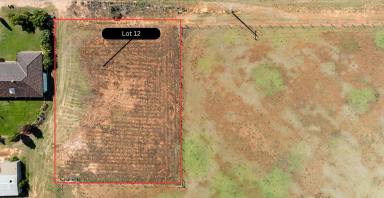 Residential Block For Sale - VIC - Mildura - 3500 - Great New Home Site!  (Image 2)