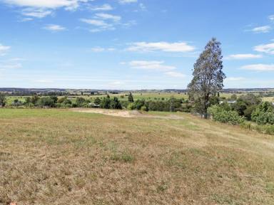 Residential Block For Sale - VIC - Bruthen - 3885 - DONT LET THIS OPPORTUNITY PASS  (Image 2)