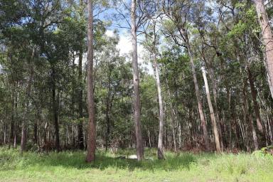 Residential Block For Sale - QLD - Downsfield - 4570 - HIDDEN PARADISE  (Image 2)