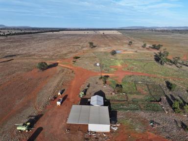 Mixed Farming For Sale - NSW - Lake Cargelligo - 2672 - Efficient Farming Property Ready To Take To The Next Level  (Image 2)