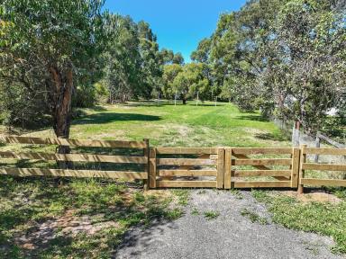 Residential Block For Sale - VIC - Barwon Downs - 3243 - ATTENTION NATURE LOVERS  (Image 2)