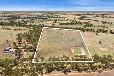 Mixed Farming For Sale - VIC - Marong - 3515 - Peaceful 28 Acres minutes from Marong  (Image 2)
