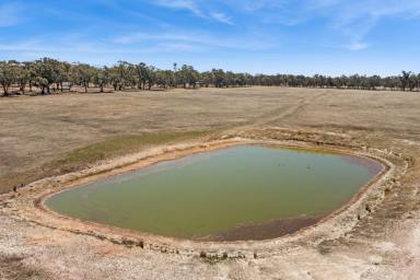 Mixed Farming For Sale - VIC - Marong - 3515 - Peaceful 28 Acres minutes from Marong  (Image 2)