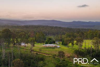 Lifestyle For Sale - NSW - Ewingar - 2469 - A Unique Lifestyle Opportunity  (Image 2)