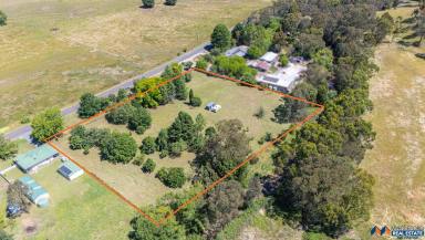 Lifestyle For Sale - VIC - Myrtleford - 3737 - Acreage with Creek Frontage  (Image 2)