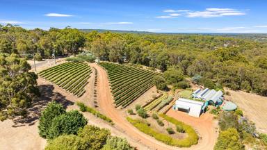 Acreage/Semi-rural For Sale - WA - Margaret River - 6285 - Privacy, Peacefulness and Panorama  (Image 2)