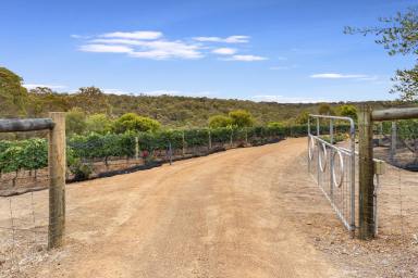 Acreage/Semi-rural For Sale - WA - Margaret River - 6285 - Privacy, Peacefulness and Panorama  (Image 2)