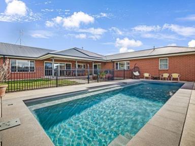 House For Sale - VIC - Benalla - 3672 - Extraordinary Lifestyle Property on 10 Acres Just 5km from Benalla  (Image 2)