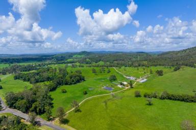 Livestock For Sale - QLD - Brooloo - 4570 - Picturesque & Productive Mary Valley Farm  (Image 2)