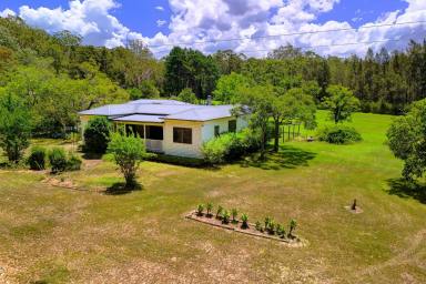 Acreage/Semi-rural Auction - NSW - Failford - 2430 - Wallamba River Views.  (Image 2)