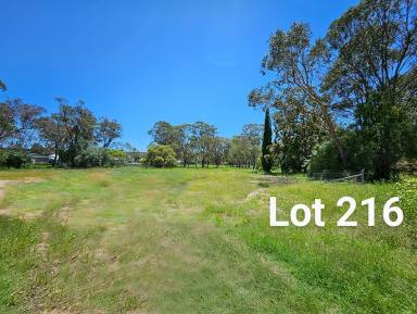 Residential Block For Sale - QLD - Crows Nest - 4355 - Large Residential block close to the Town CBD and School.  (Image 2)