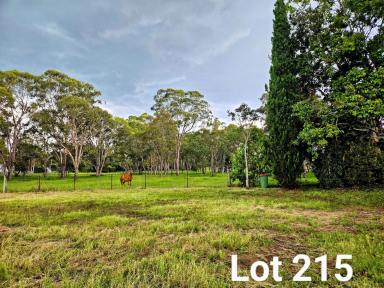 Residential Block For Sale - QLD - Crows Nest - 4355 - Developers here is a Large Residential block close to the Town CBD and School.  (Image 2)