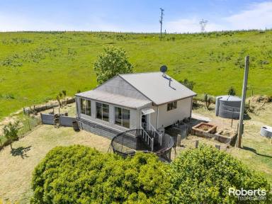 House For Sale - TAS - Barrington - 7306 - Breathtaking Mt Roland & Lake Barrington views on 64 acres approx.  (Image 2)