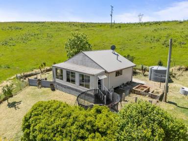 House For Sale - TAS - Barrington - 7306 - Breathtaking Mt Roland & Lake Barrington views on 64 acres approx.  (Image 2)