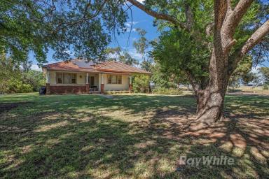 Lifestyle For Sale - VIC - Bamawm - 3561 - Your Country Home on 5 Acres Awaits!  (Image 2)