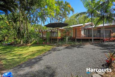 House For Sale - QLD - Branyan - 4670 - Slice of Paradise with River Views & Lush Tropical Gardens  (Image 2)