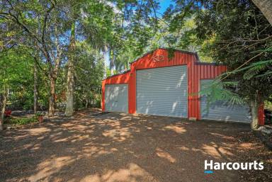 House For Sale - QLD - Branyan - 4670 - Slice of Paradise with River Views & Lush Tropical Gardens  (Image 2)