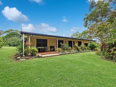 Lifestyle For Sale - QLD - Bowen - 4805 - Spacious 5-Acres with Solid Block Home and Extensive Sheds & Machinery  (Image 2)