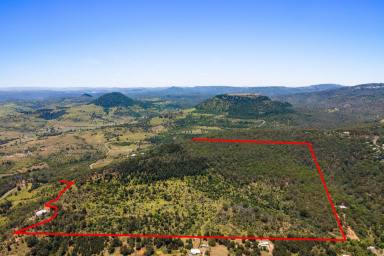 Mixed Farming For Sale - QLD - Withcott - 4352 - 140 Acres of Prime Position Development Potential Land at Withcott.  (Image 2)