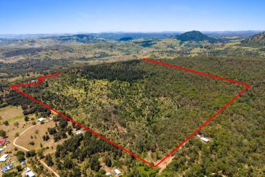 Mixed Farming For Sale - QLD - Withcott - 4352 - 140 Acres of Prime Position Development Potential Land at Withcott.  (Image 2)