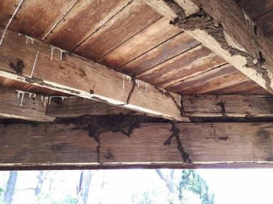 Business Sold - QLD - Birkdale - 4159 - Nature Fresh Termite & Pest Control a 30-Year Legacy with Endless Potential (Image 2)