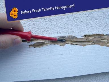 Business Sold - QLD - Birkdale - 4159 - Nature Fresh Termite & Pest Control a 30-Year Legacy with Endless Potential  (Image 2)