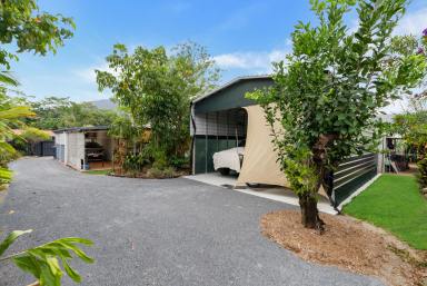 House For Lease - QLD - Bentley Park - 4869 - Superb Family Home - Electric Gate -2Bay Shed - Caravan Storage  (Image 2)