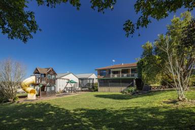 House Sold - NSW - Stroud - 2425 - Spacious Family Living in the Heart of Stroud  (Image 2)