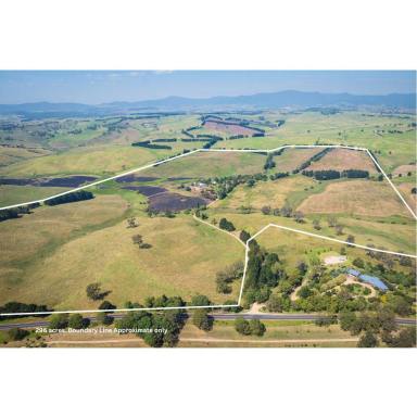 Livestock For Sale - NSW - Kameruka - 2550 - 'Rockleigh' - A Model Farm  (Image 2)