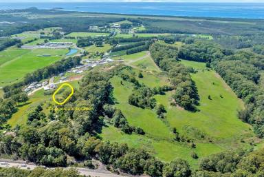 Residential Block For Sale - NSW - Coffs Harbour - 2450 - North Facing Elevated Block Of Land For Sale  (Image 2)