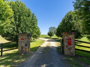 Acreage/Semi-rural For Sale - NSW - Candelo - 2550 - BEAUTIFULLY UNIQUE  (Image 2)