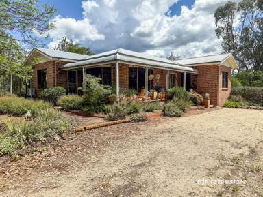 Acreage/Semi-rural For Sale - NSW - Inverell - 2360 - HOME AMONG THE GUM TREES  (Image 2)