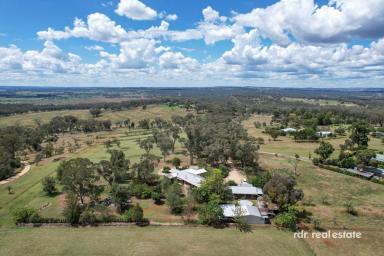 Acreage/Semi-rural For Sale - NSW - Inverell - 2360 - HOME AMONG THE GUM TREES  (Image 2)