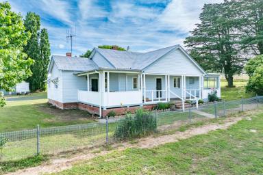 Other (Rural) Auction - NSW - Lyndhurst - 2797 - CHARMING COTTAGE, SET ON A PICTURESQUE 16 ACRES!  (Image 2)