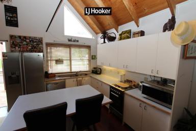 House For Lease - NSW - Inverell - 2360 - 4 Bedroom Weatherboard Home on Ross Hill  (Image 2)