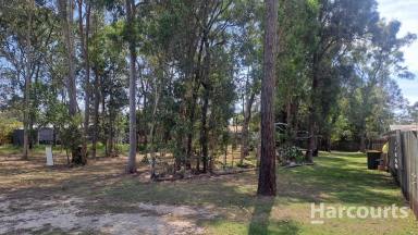 Residential Block For Sale - QLD - Aldershot - 4650 - Prime Residential Land in Aldershot - 15 Vaughan Street  (Image 2)