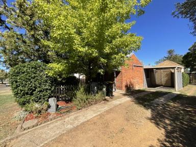 House For Lease - NSW - Tamworth - 2340 - CHARMING THREE BEDROOM HOUSE IN WEST TAMWORTH  (Image 2)