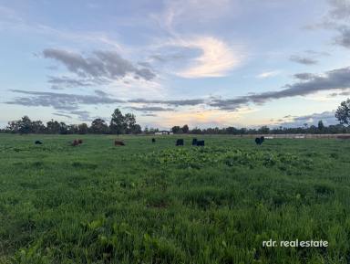 Mixed Farming For Sale - NSW - Bundarra - 2359 - HALF HITCH  (Image 2)