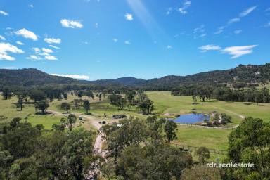 Mixed Farming For Sale - NSW - Bundarra - 2359 - HALF HITCH  (Image 2)