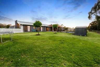 House For Sale - VIC - Huntly - 3551 - Outstanding Modern Family Living  (Image 2)