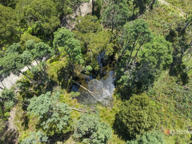 House For Sale - TAS - Frankford - 7275 - TWO DWELLINGS ON LARGE ACREAGE  (Image 2)